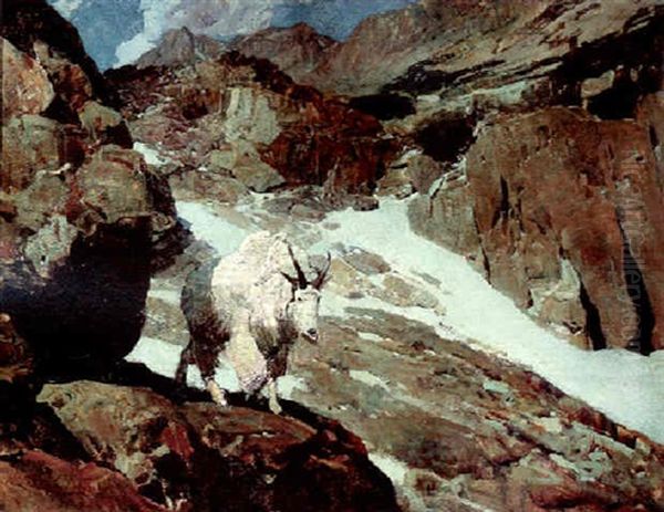 Haunter Of The Silences Oil Painting by Frank Tenney Johnson