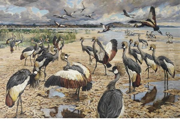 A Congregation Of Crowned Cranes Oil Painting by Harry (Sir) Hamilton Johnston