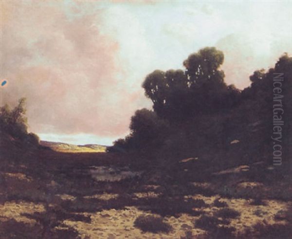 Sunset Over Marin Hills Oil Painting by Carl Henrik Jonnevold