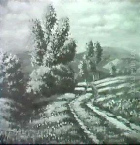Sommerlandschaft