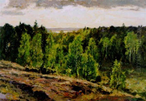 Sommarbjorkar - Landskapsutsikt Oil Painting by Gottfried Kallstenius