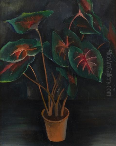 Filodendron Oil Painting by Georges (Karpeles) Kars
