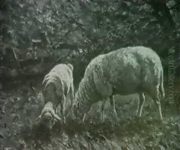 Schafgruppe Auf Weide Oil Painting by August Kaufhold