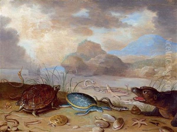 Meerestiere Am Strand Oil Painting by Ferdinand van Kessel