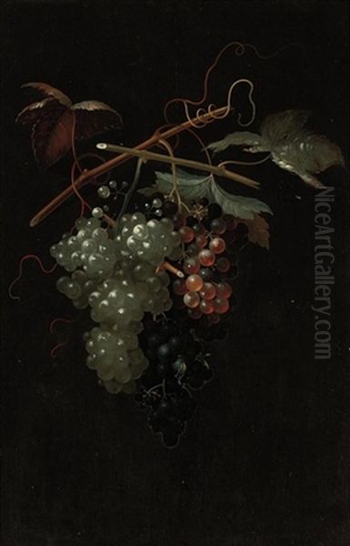 Bunches Of White, Black And Red Grapes Oil Painting by Thomas Keyse