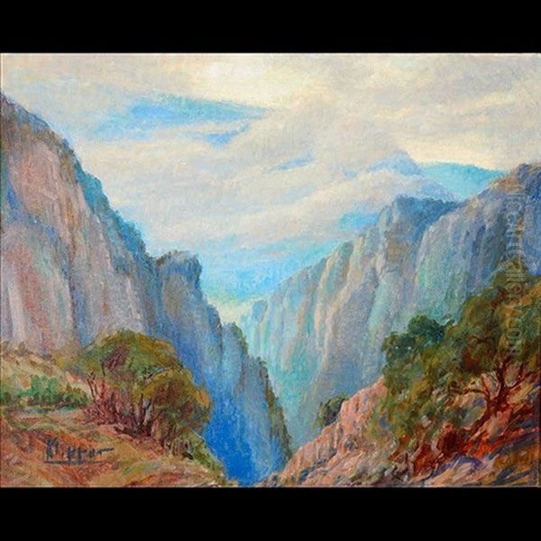 Untitled - Storm In Canyon Oil Painting by Frank Klepper