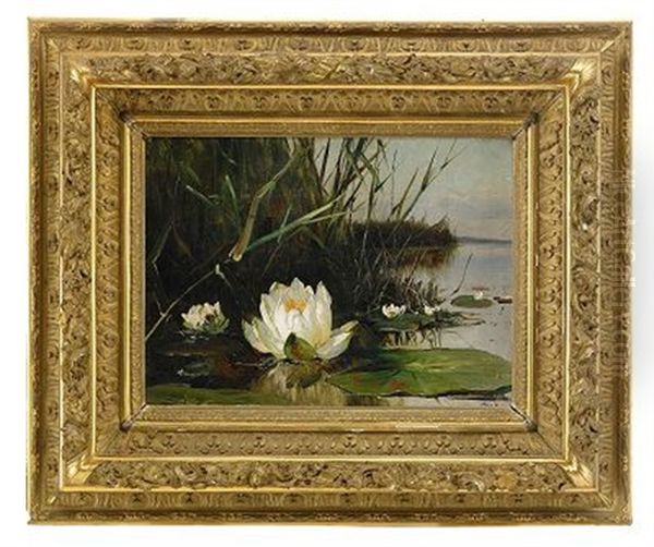 Waterlily Oil Painting by Yuliy Yulevich (Julius) Klever
