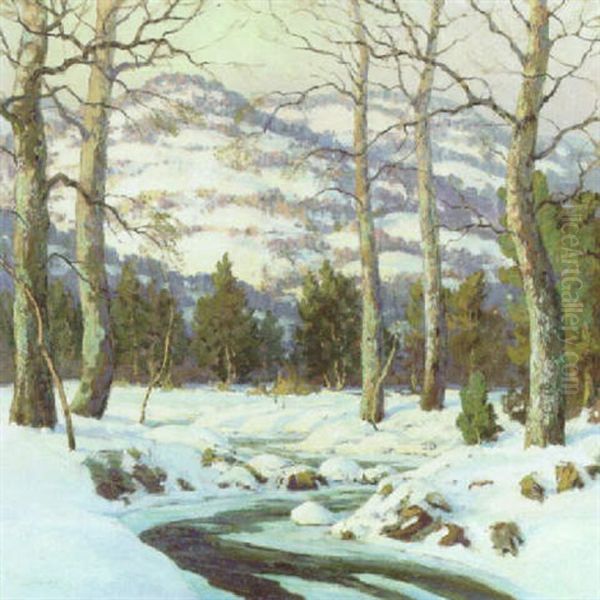 Afternoon Sun Oil Painting by Walter Koeniger