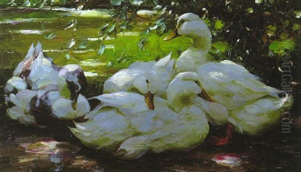 Im Schatten. Vier Weisse Enten Unter Weidenbaumen Am Wasser Oil Painting by Alexander Max Koester