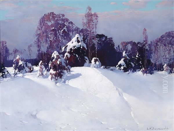 Ein Winternachmittag Oil Painting by Stepan Feodorovich Kolesnikov