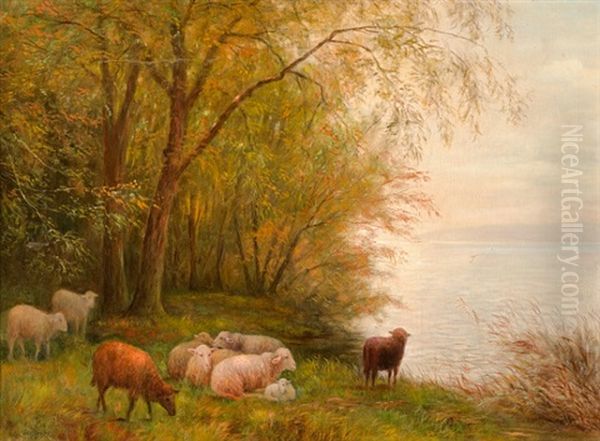 Schafe Am Ufer Oil Painting by Otto Krebs