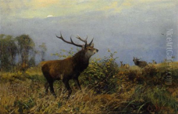 Zehnender Auf Weiter Lichtung Oil Painting by Christian (Johann Christian) Kroener