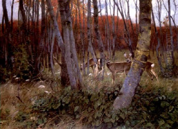 Deer In A Forest Oil Painting by Wilhelm Friedrich Kuhnert