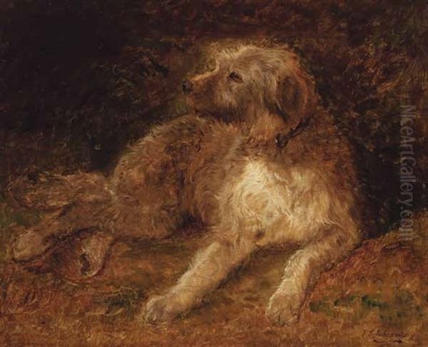 Liegender Hund Oil Painting by F. Sigmund Lachenwitz