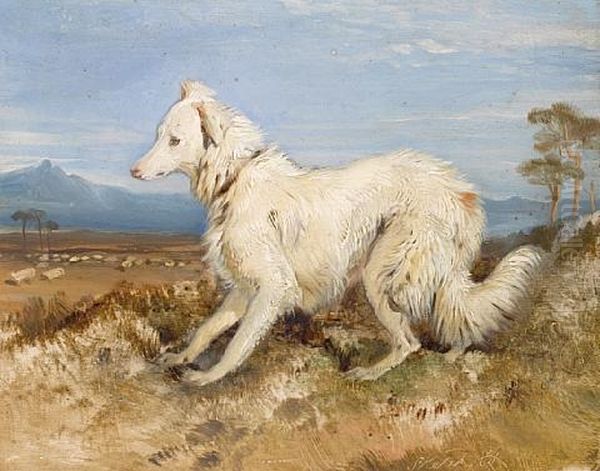 White Collie In A Landscape (sketch) Oil Painting by Sir Edwin Henry Landseer