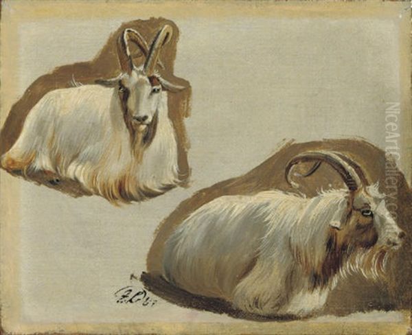 Studies Of Ibex Oil Painting by Sir Edwin Henry Landseer
