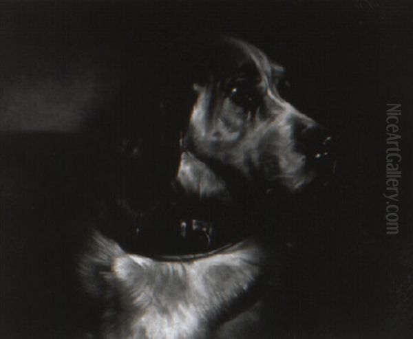 Portrait Of A Hound Oil Painting by Sir Edwin Henry Landseer