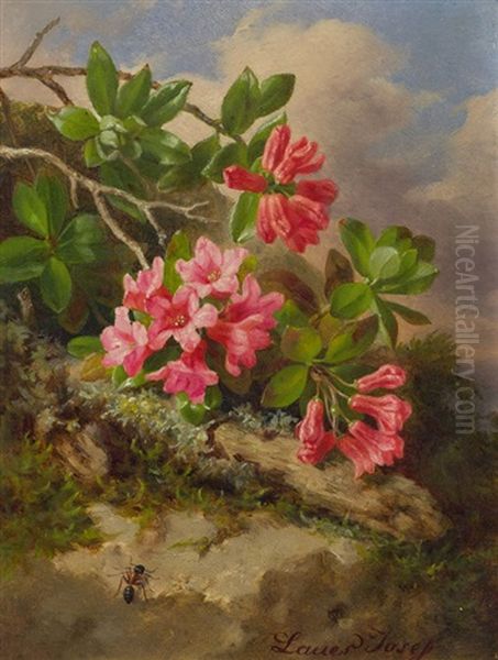 Stillleben Mit Alpenrosen Und Ameise Oil Painting by Josef Lauer