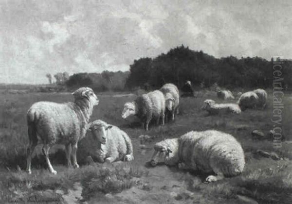 Sheep And Shepherdess In A Meadow Oil Painting by Cornelis van Leemputten
