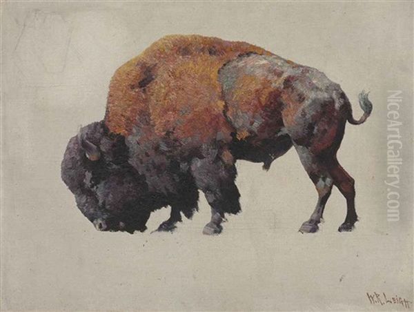 Bison Bull Oil Painting by William Robinson Leigh