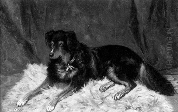 Portrait Of A Dog Oil Painting by Scott Leighton