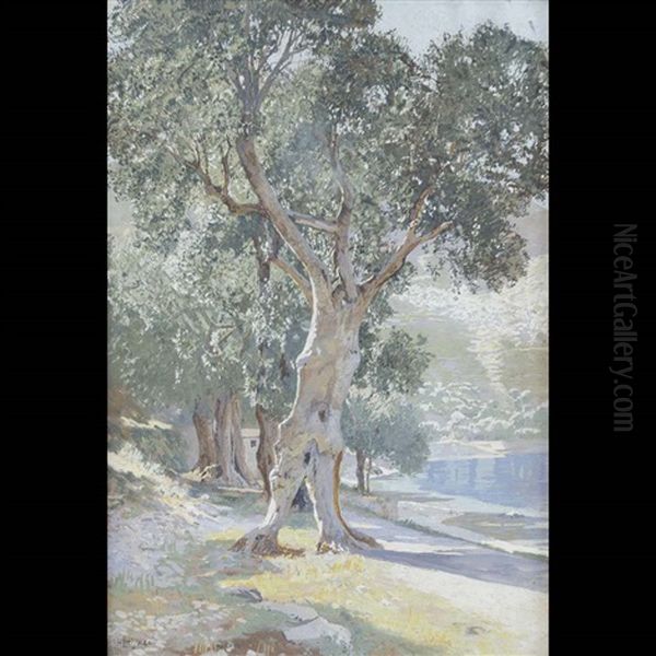 Ulivo Oil Painting by Hans Lietzmann