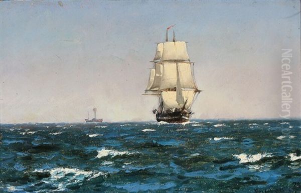 A Ship And A Steamer On The Sea Oil Painting by Carl Locher