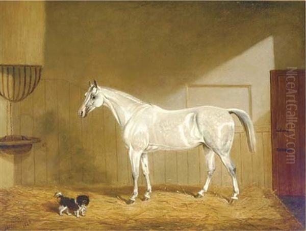 A Grey Hunter And Spaniel In A Loose Box Oil Painting by James (of Bath) Loder