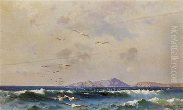 Gabbiani In Volo Oil Painting by Francesco (Luigi) Lojacono