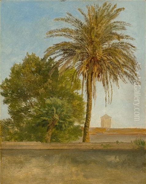 Die Palme Bei San Francesco A Ripa Grande Oil Painting by Friedrich Loos