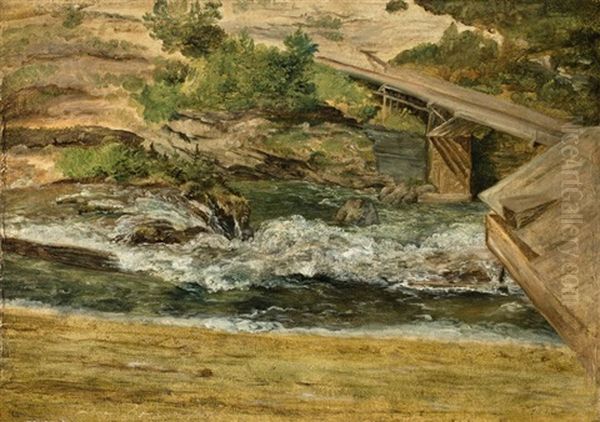 Der Draunfall Oil Painting by Friedrich Loos