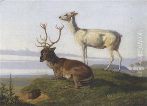 En Liggende Hjort Og En Staaende Hind Oil Painting by Johan Thomas Lundbye