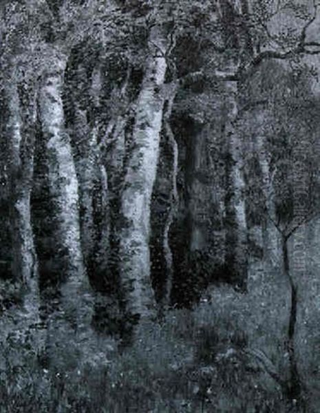 Ancient Birches Oil Painting by Mary Nicholena Maccord