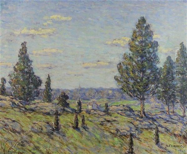 Landscape With Cedars, Connecticut Oil Painting by Elmer Livingston Macrae