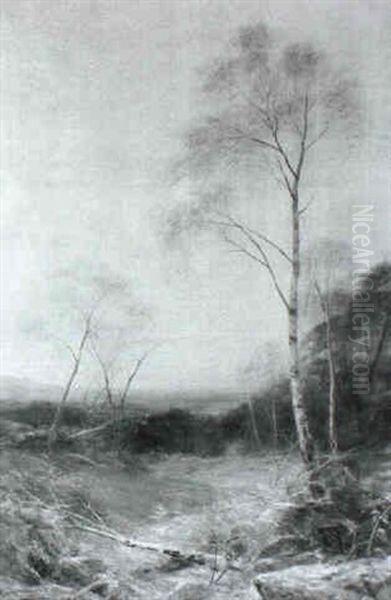 Bracken And Silver Birch Oil Painting by John MacWhirter