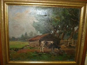Cow Before A Wooden Shed
