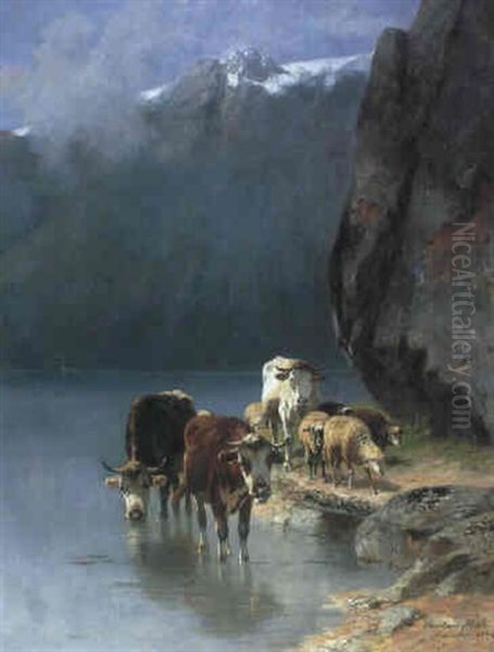 Im Flachen Uferwasser Eines Bergsees Stehen Kuhe Bei Der Tranke Oil Painting by Christian Friedrich Mali