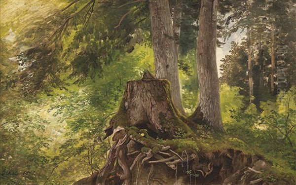 Waldinterieur Mit Blick Auf Einen Alten Baumstumpf Oil Painting by Jan (Johann Cornelius) Mali