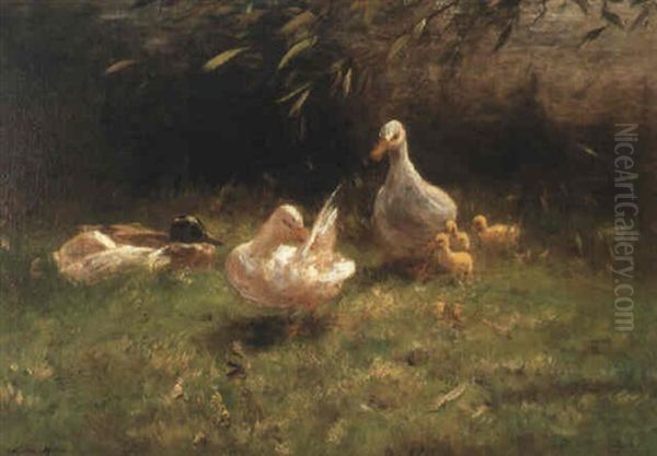 Ducks With Ducklings Oil Painting by Willem Maris