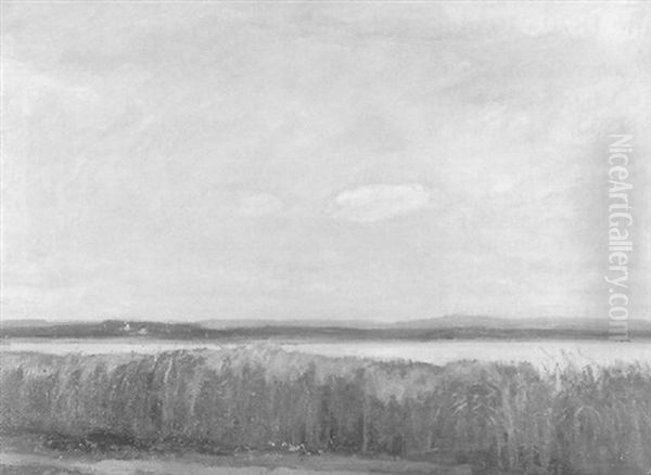 Seeuferlandschaft Mit Schilffeldern Oil Painting by Alfred Marxer