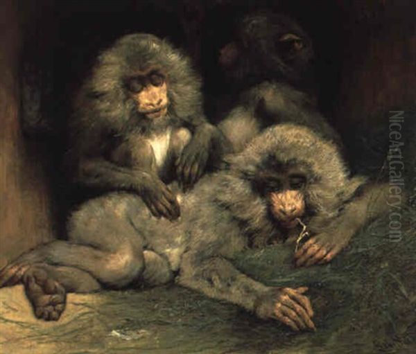 Affenliebe Oil Painting by Gabriel von Max