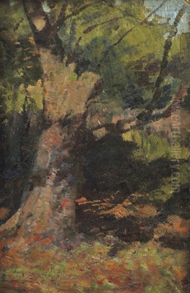 Bush Study Oil Painting by Frederick McCubbin