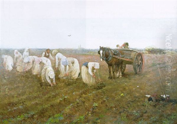 Clearing Potato Field Oil Painting by Robert McGregor