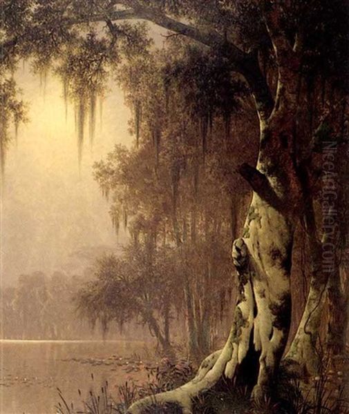 Cypress Swamp Near The Teche, Louisiana Oil Painting by Joseph Rusling Meeker