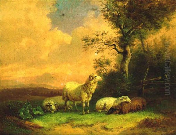 Ruhende Schafe Auf Der Weide Oil Painting by Wilhelm Melchior