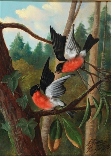 Two Birds Fighting Oil Painting by Michelangelo Meucci