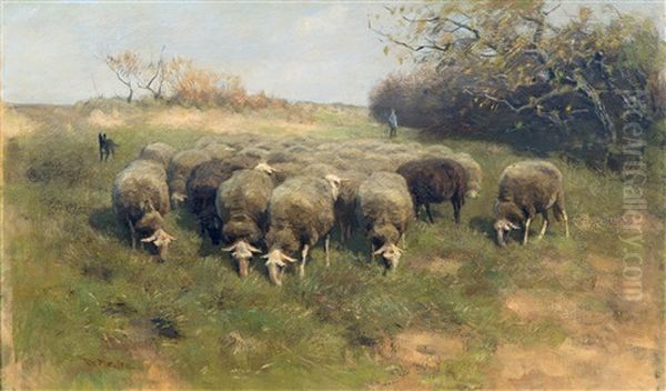 Shepherd And His Flock Oil Painting by Francois Pieter ter Meulen