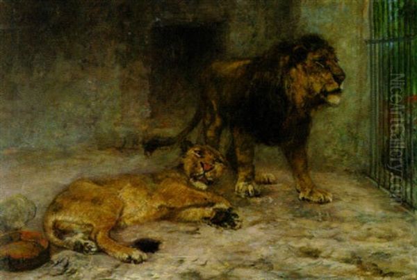 Lowenpaar Im Kafig Im Zoo Oil Painting by Paul Friedrich Meyerheim