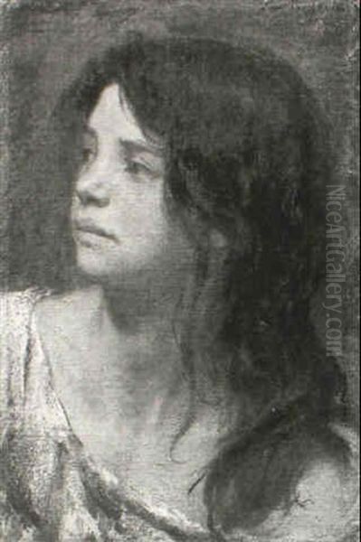 Portrait Of A Dark Haired Girl Oil Painting by Paul Friedrich Meyerheim