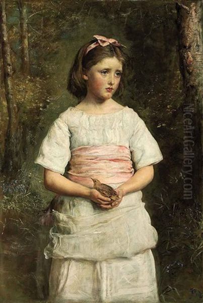 Dropped From The Nest Oil Painting by John Everett Millais